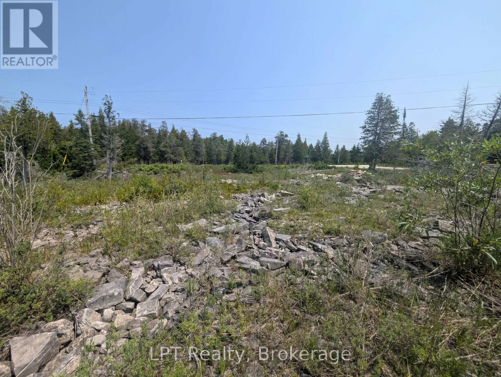 1226 DORCAS BAY ROAD