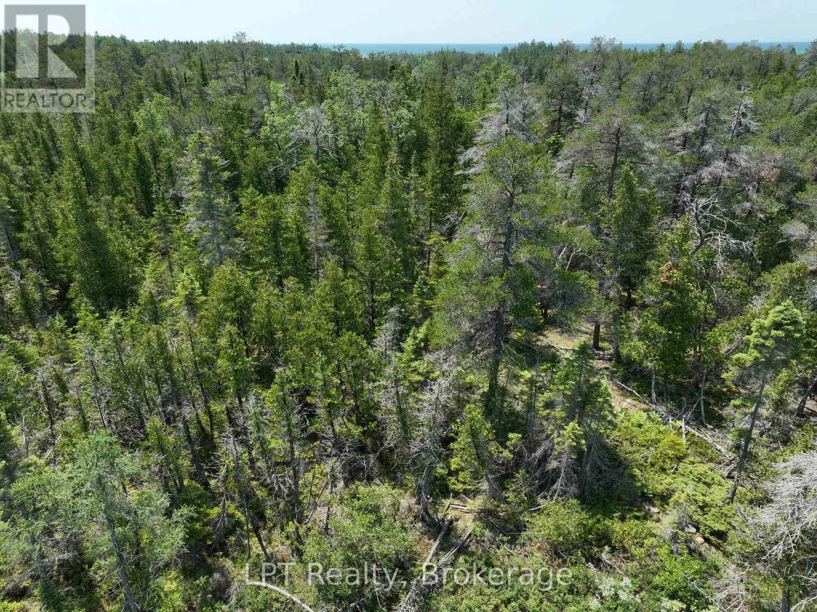 1226 DORCAS BAY ROAD