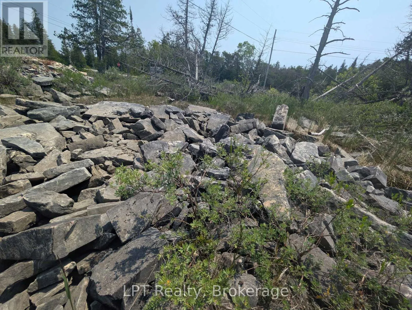 1226 DORCAS BAY ROAD