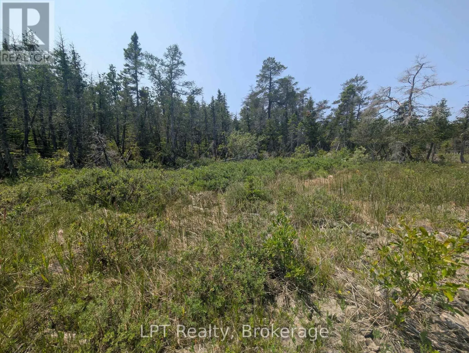 1226 DORCAS BAY ROAD