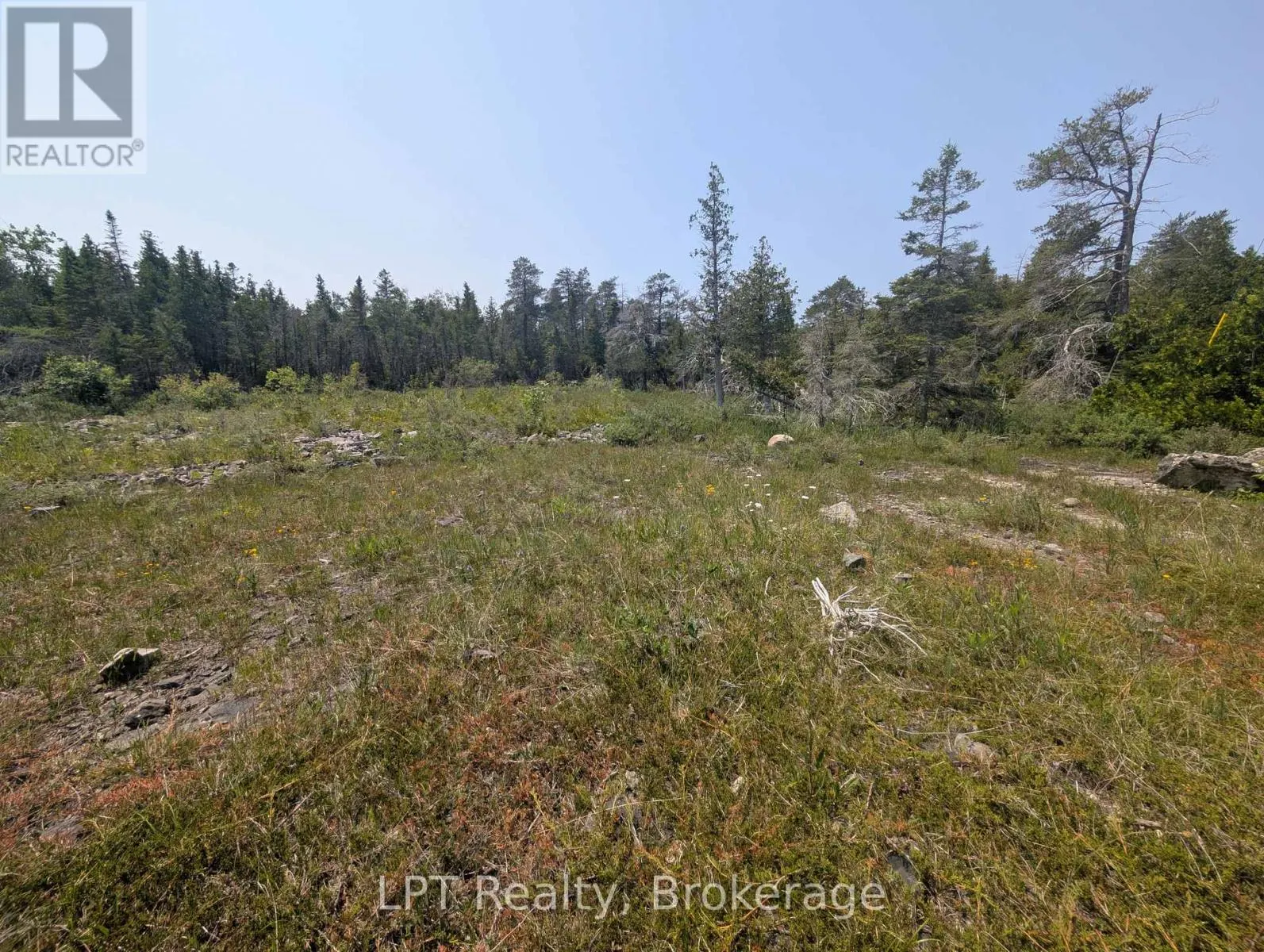 1226 DORCAS BAY ROAD