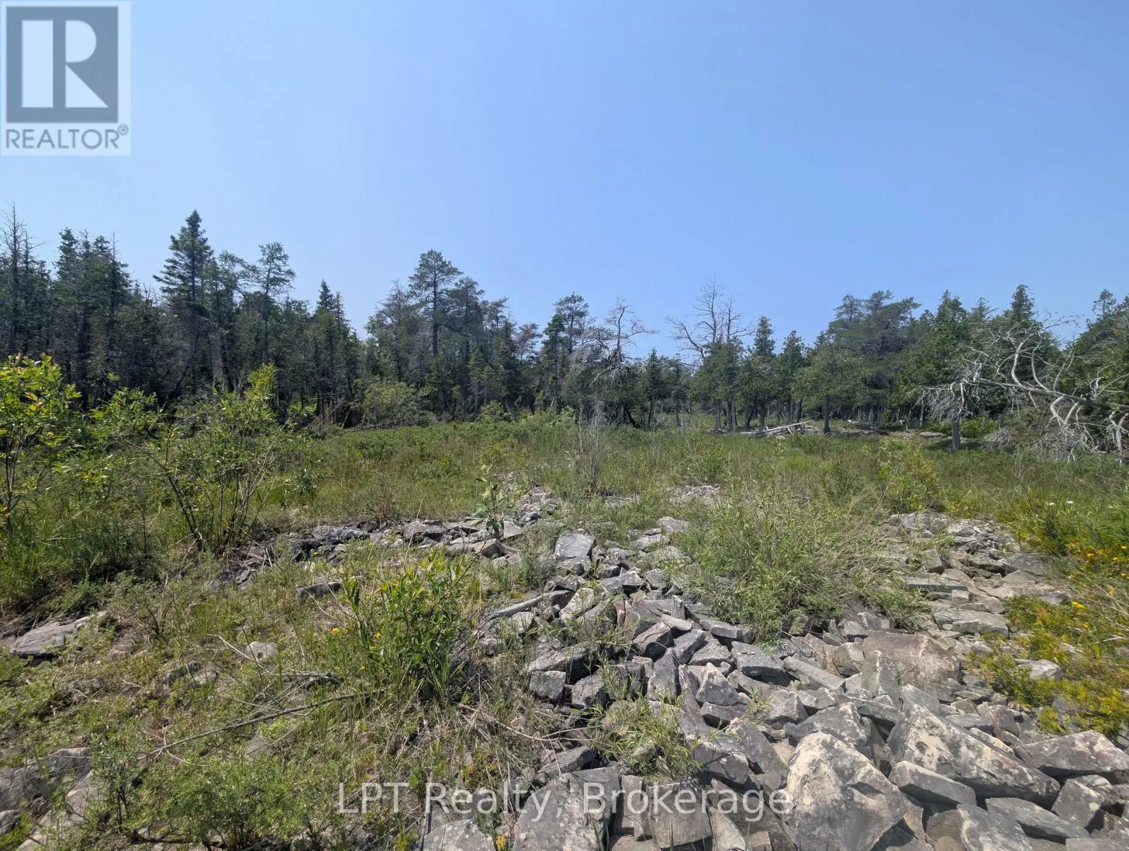 1226 DORCAS BAY ROAD