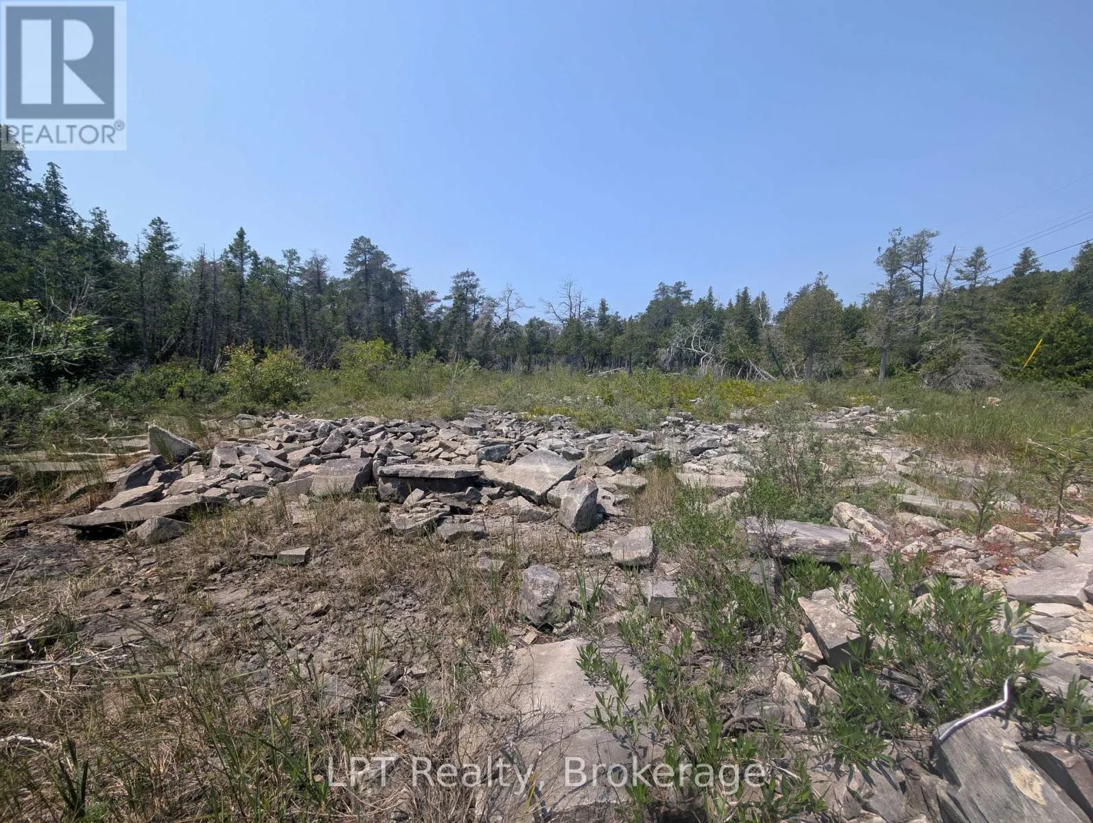 1226 DORCAS BAY ROAD