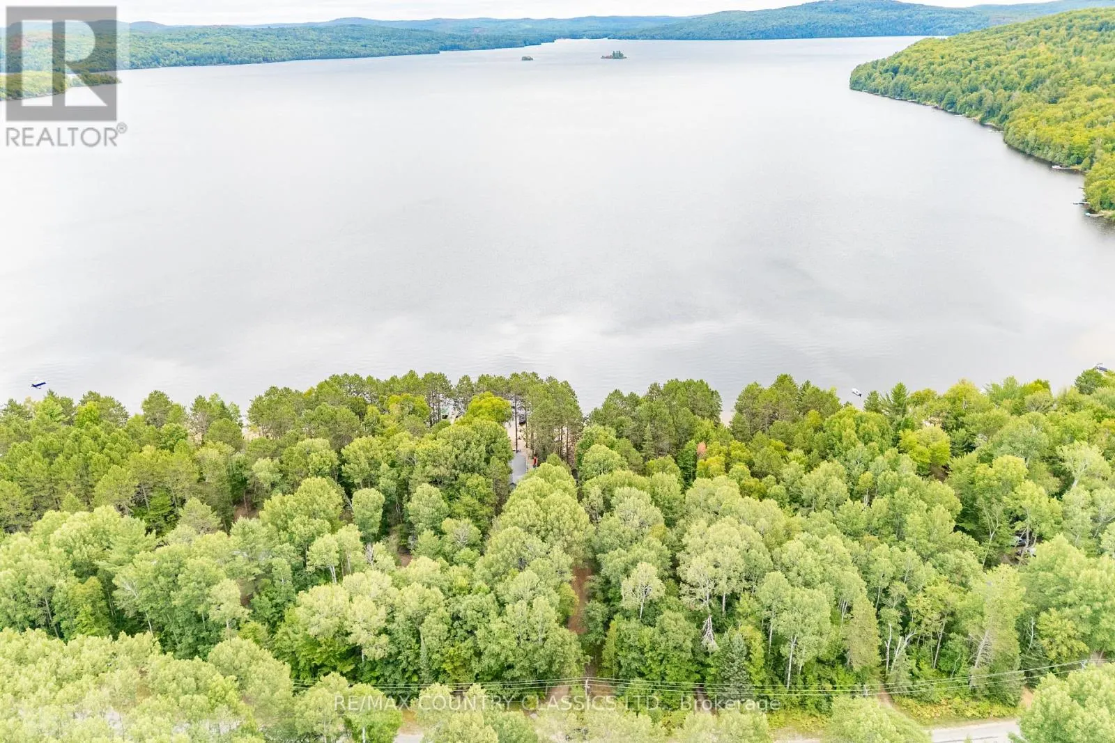 1258 KAMANISKEG LAKE ROAD