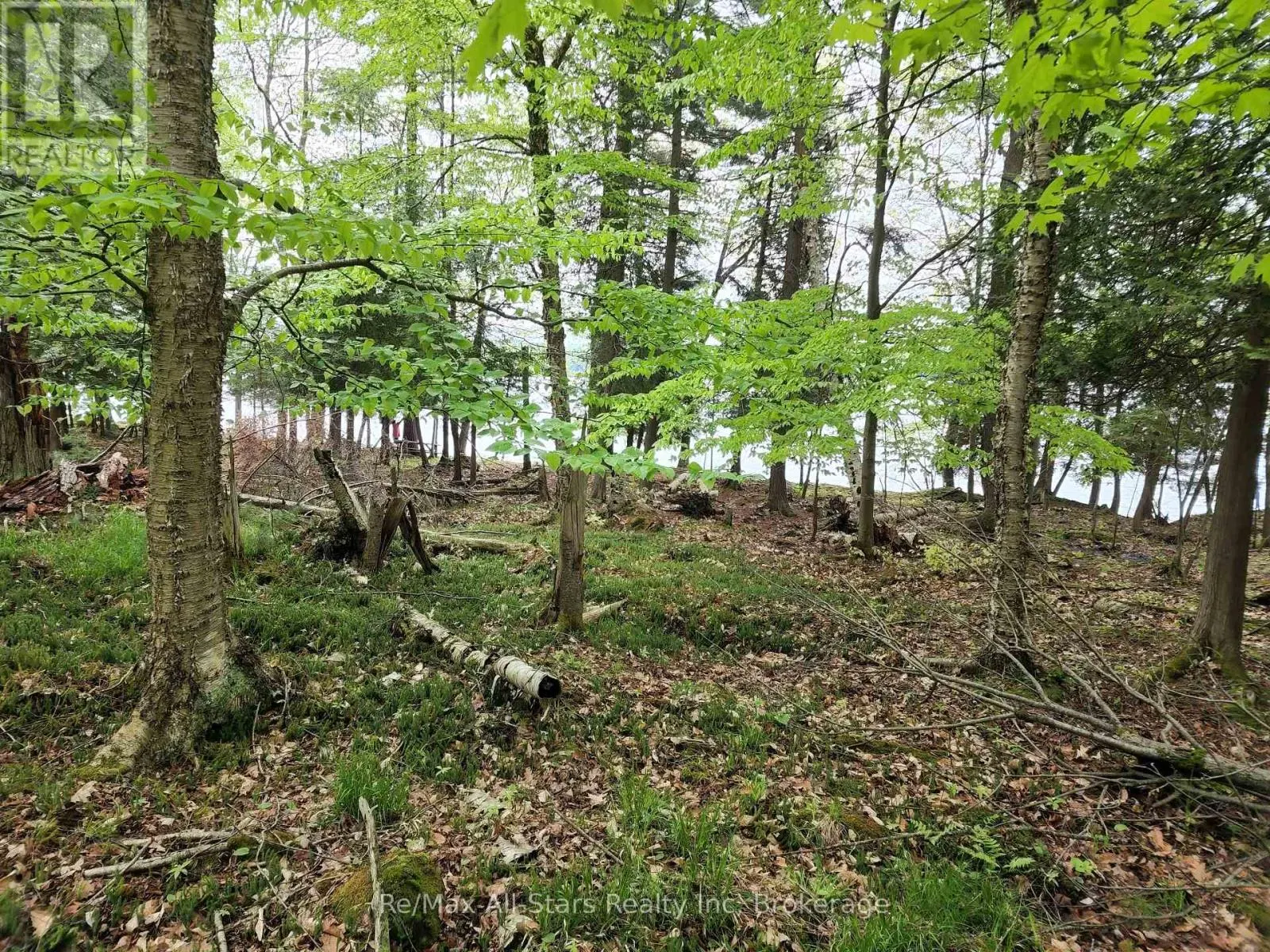 504 BIGWIN ISLAND