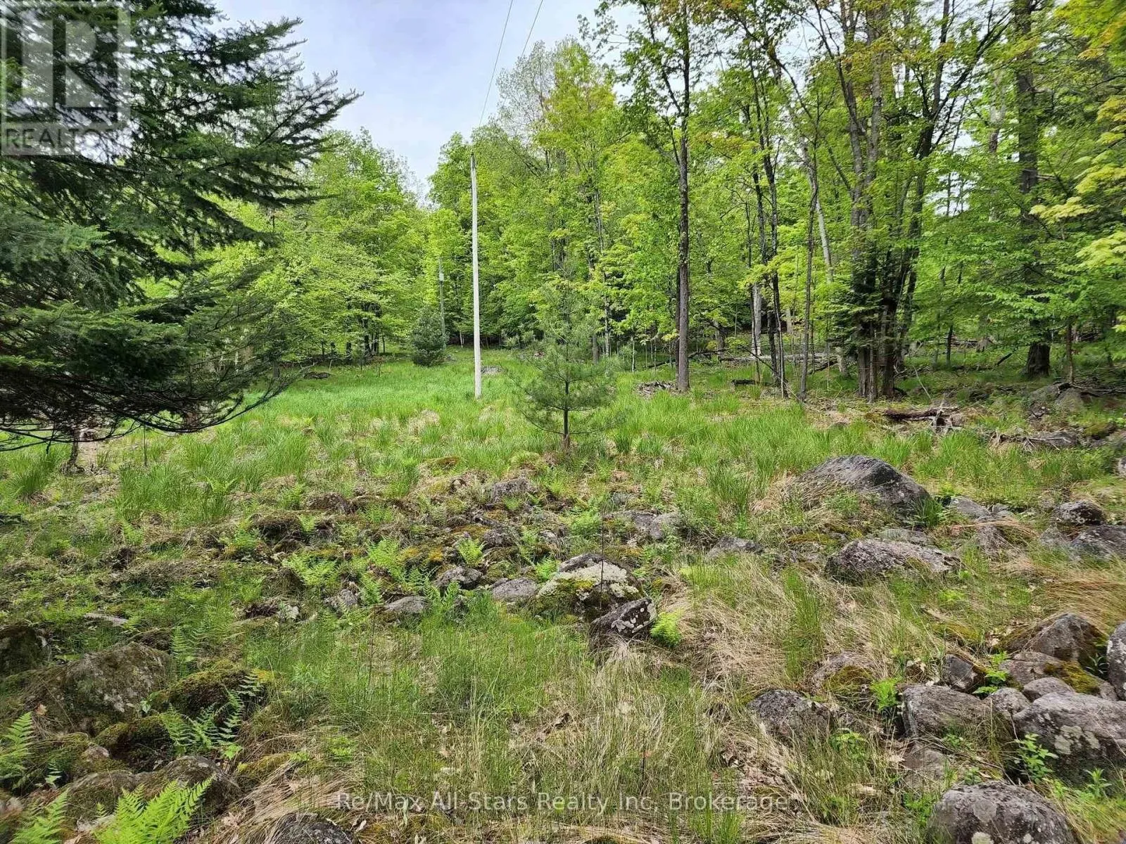 504 BIGWIN ISLAND