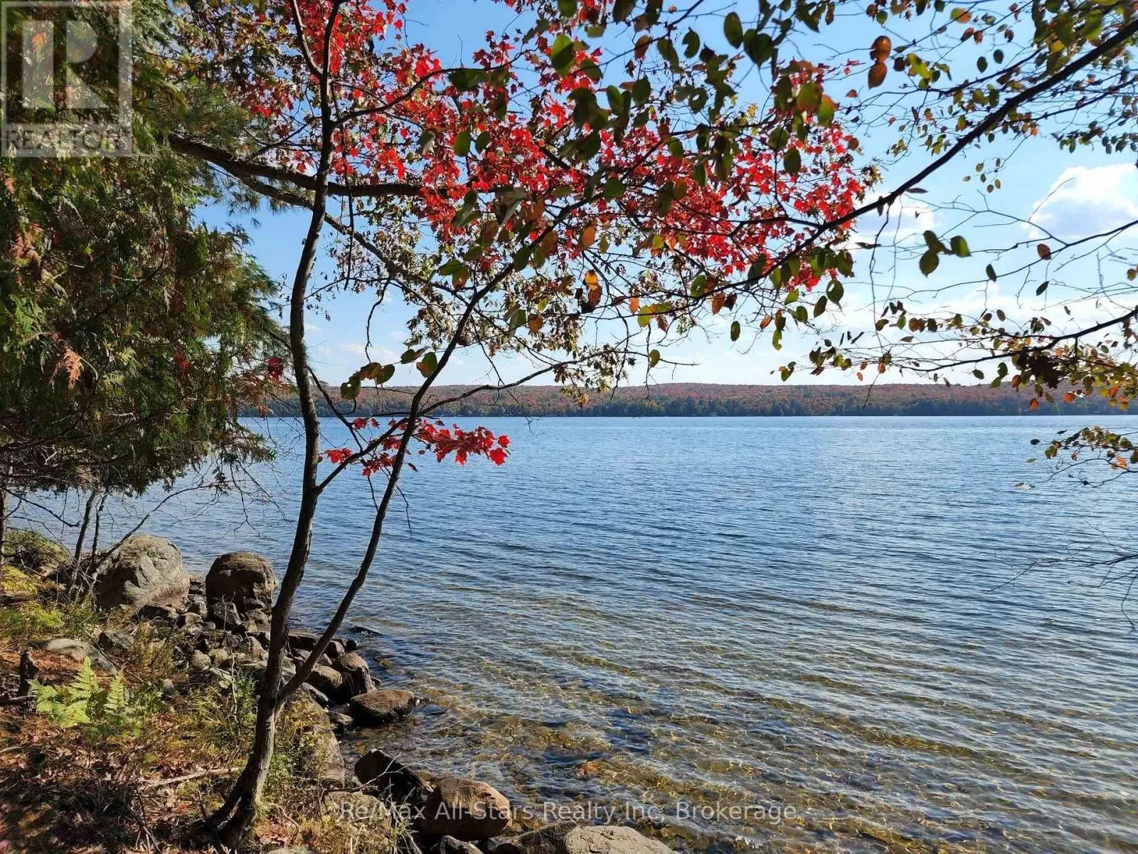 504 BIGWIN ISLAND