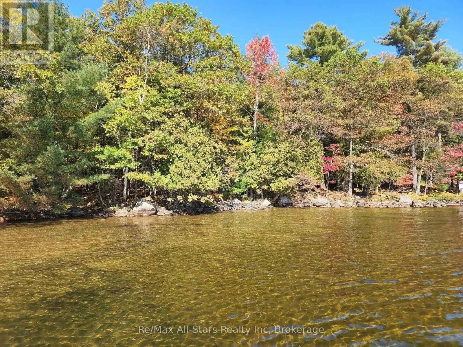 504 BIGWIN ISLAND