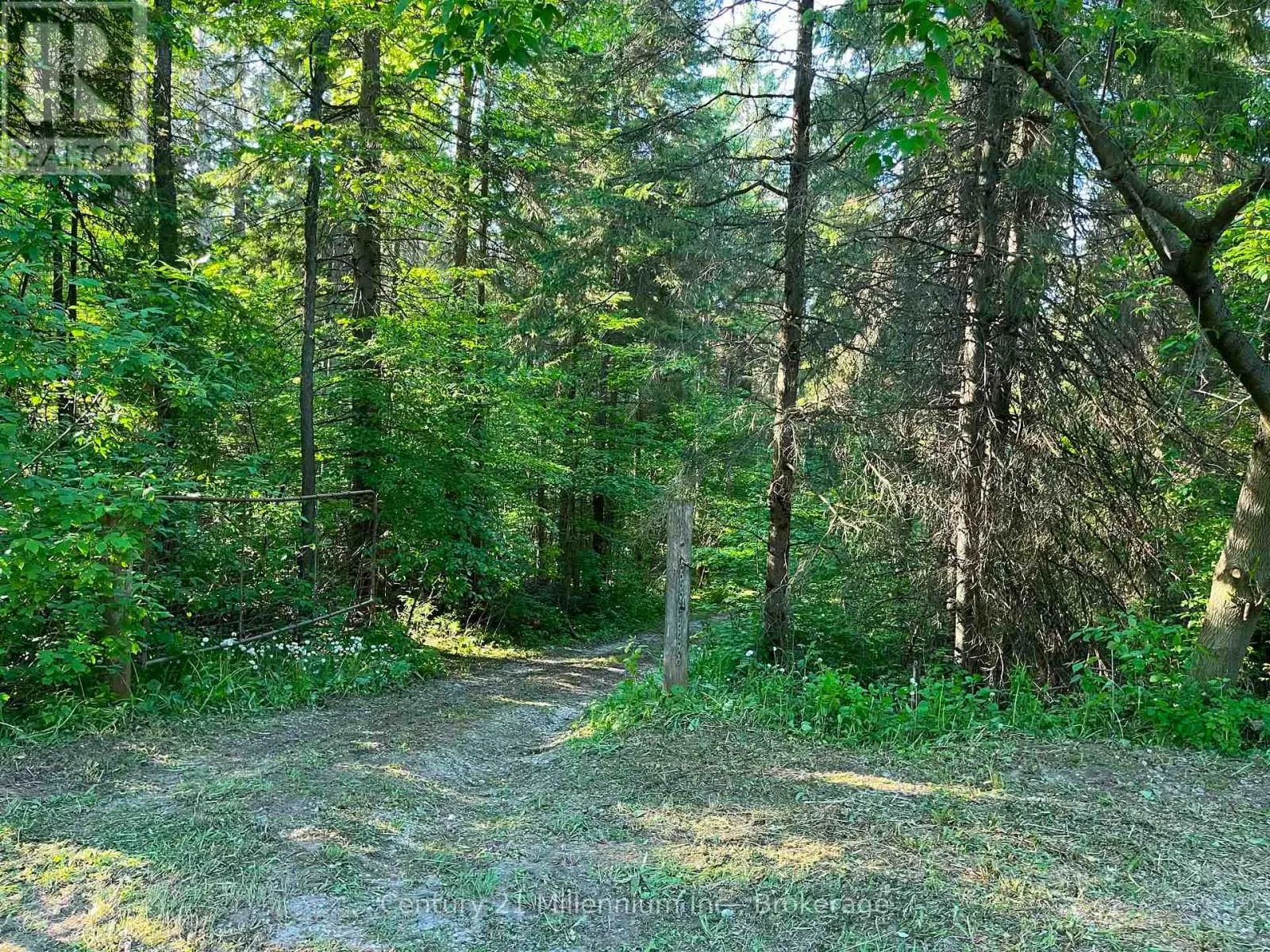 627383 15 SIDE ROAD