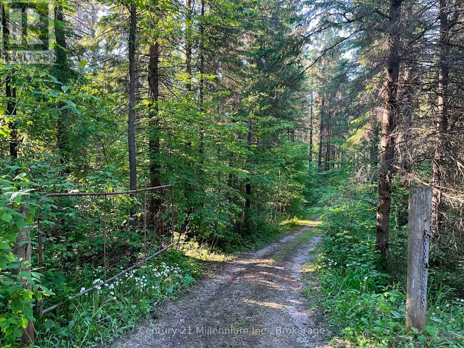 627383 15 SIDE ROAD