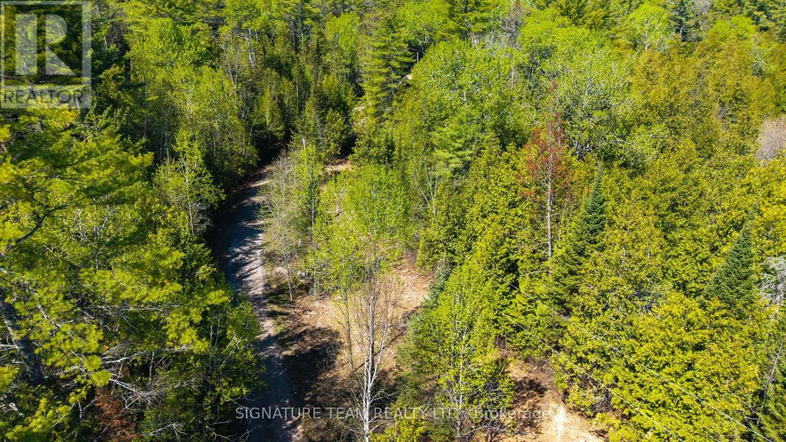 0 RED ASH TRAIL