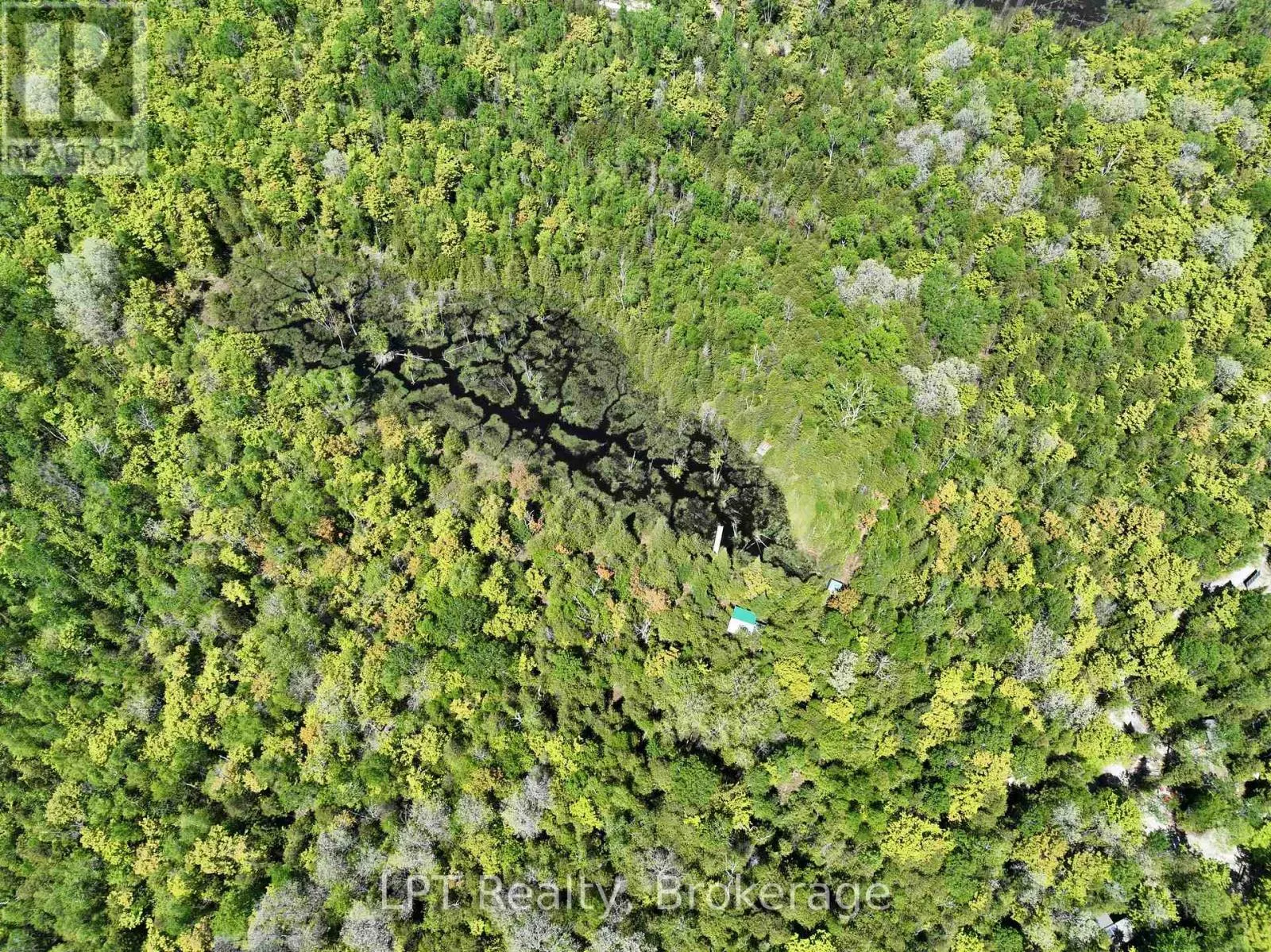 101 LOG CABIN LANE