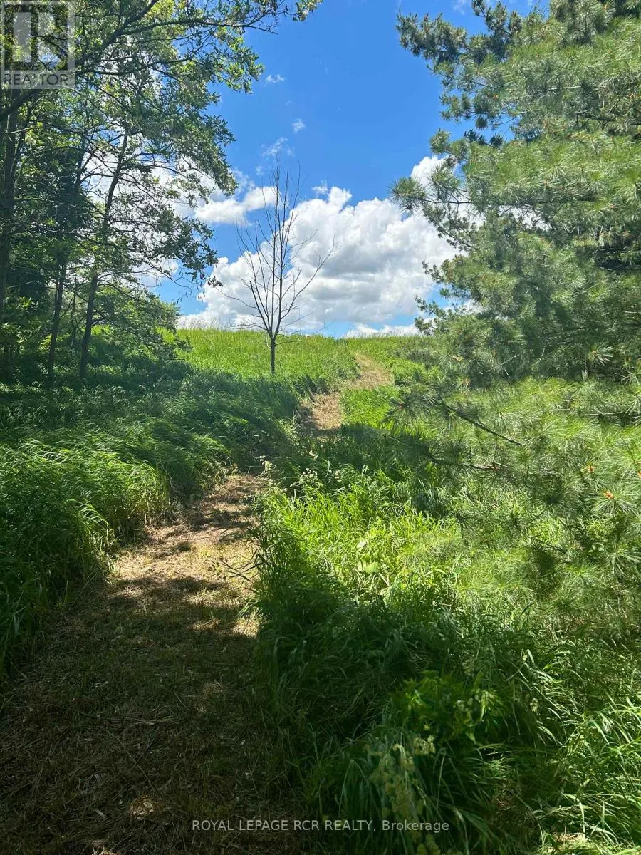 LOT 29 5TH LINE E
