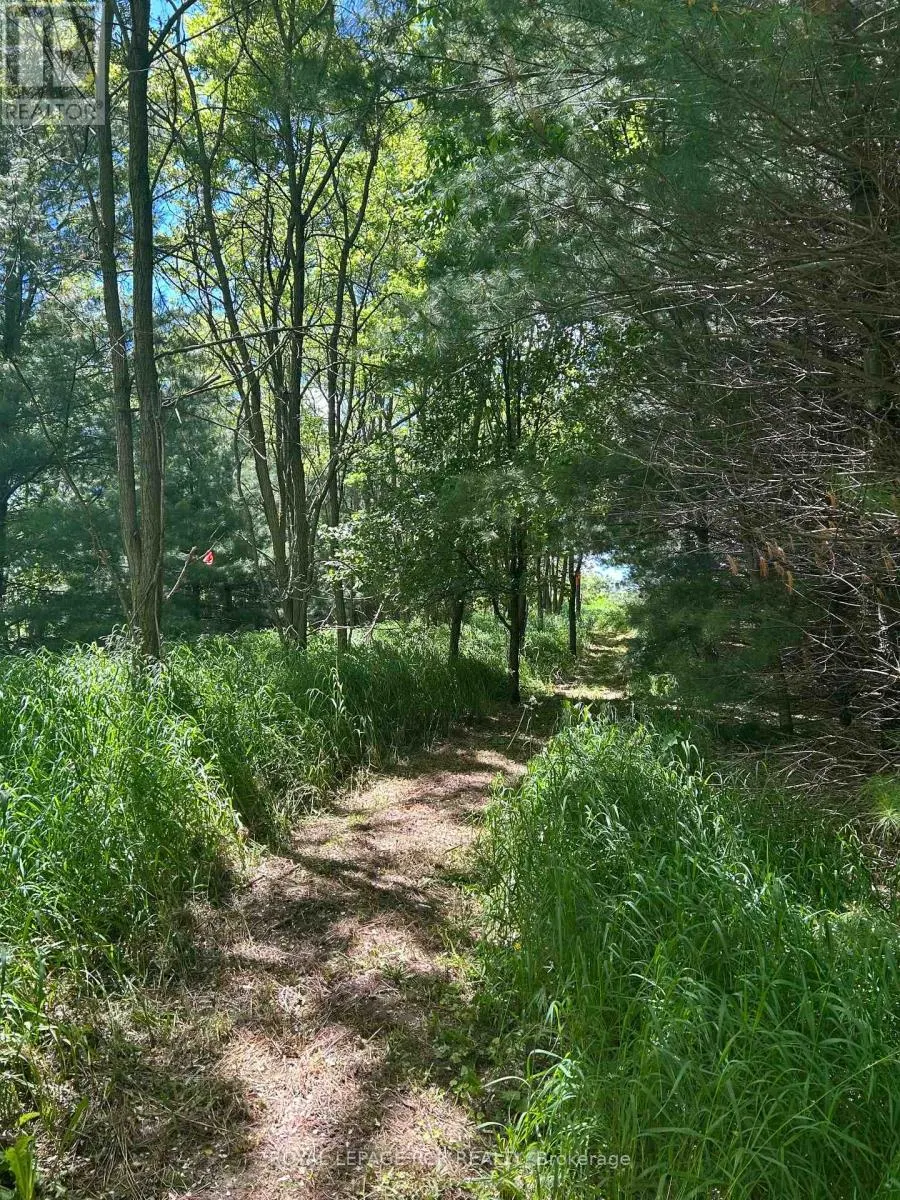 LOT 29 5TH LINE E