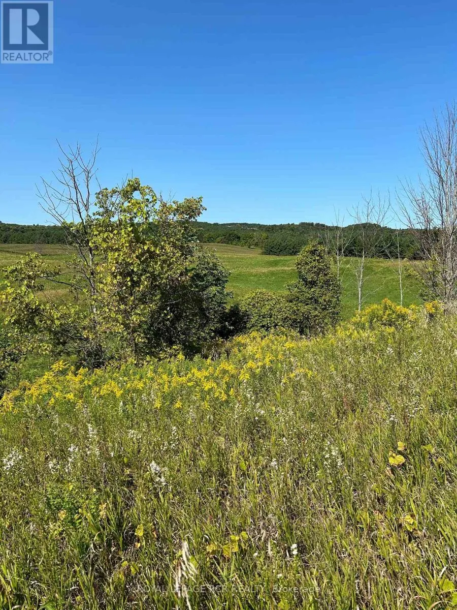 LOT 29 5TH LINE E