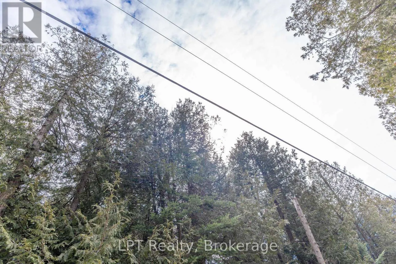76 MYLES DRIVE