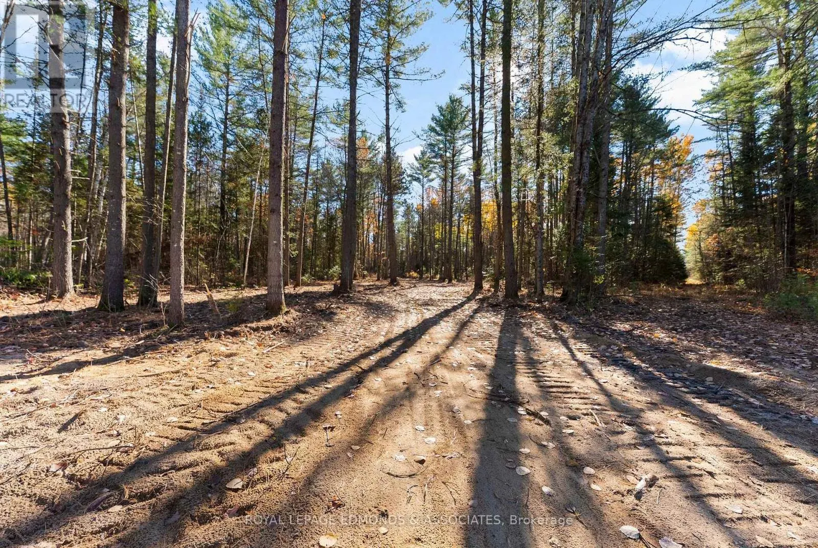 100 NANGOR TRAIL