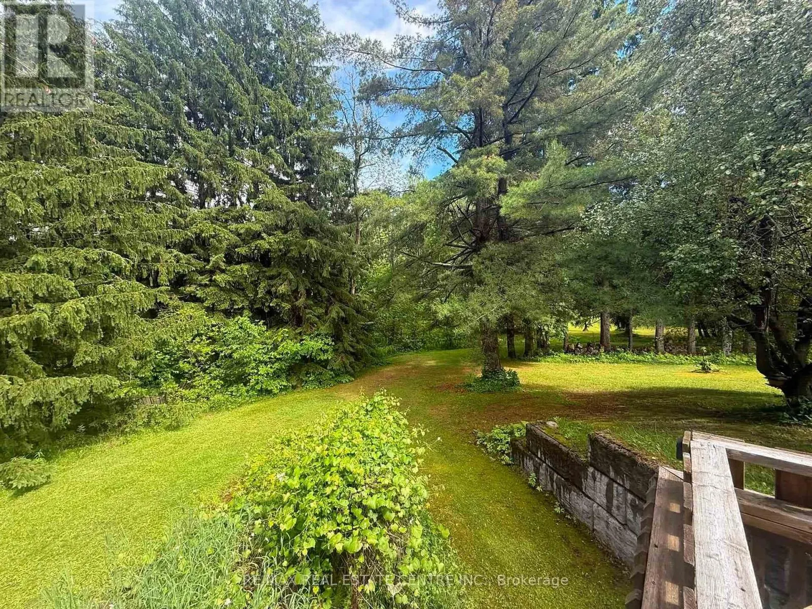21 MCCUTCHEON ROAD
