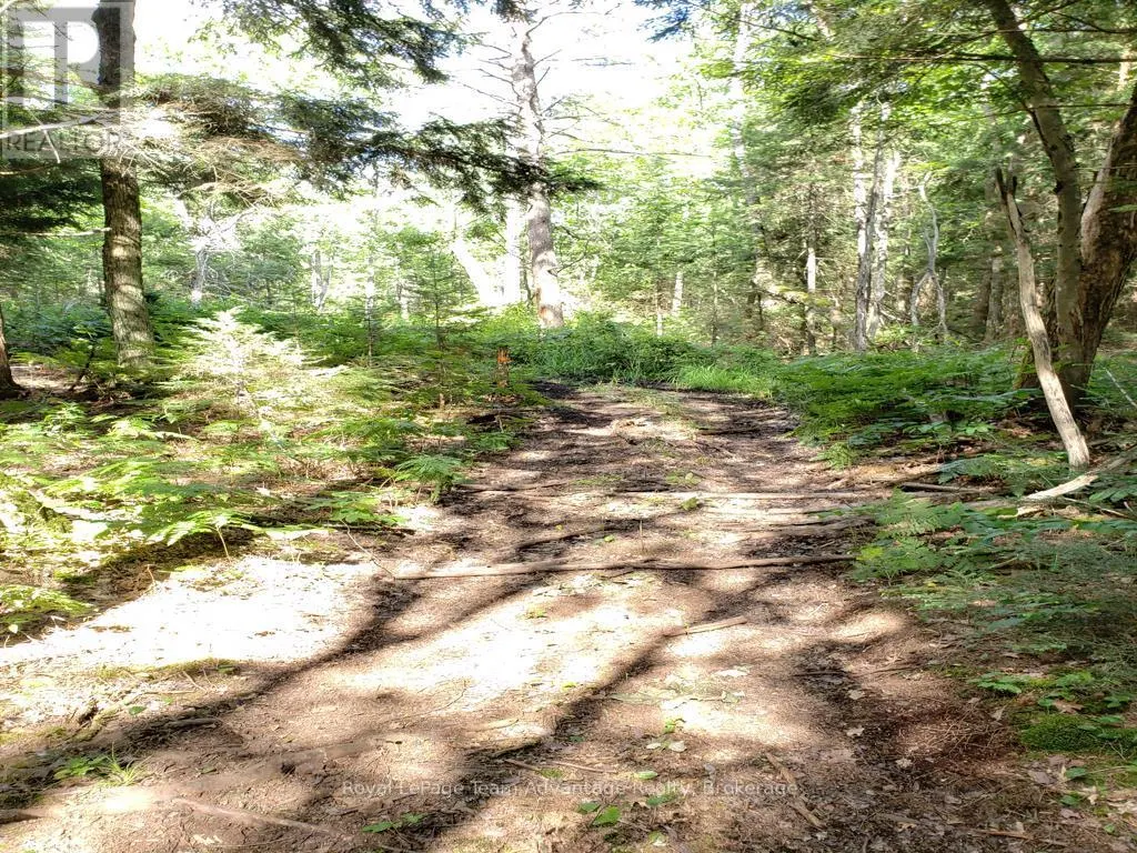 0 UNOPENED ROAD ALLOWANCE ROAD