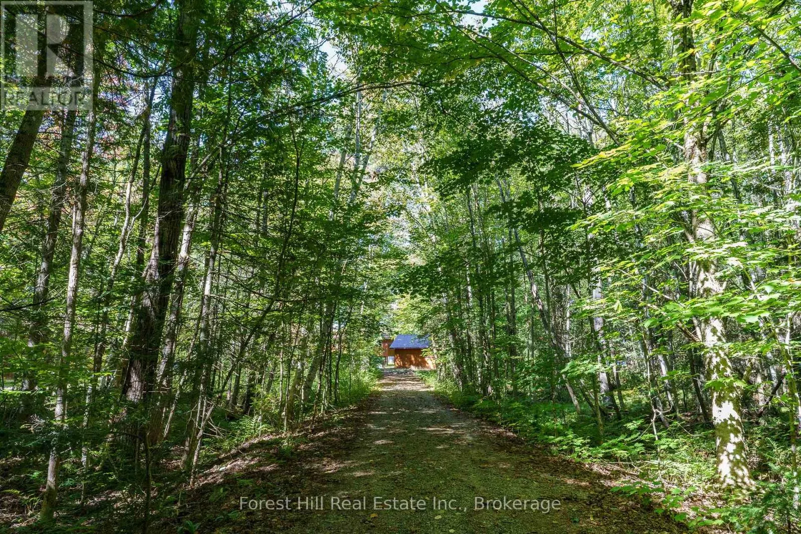 2 - 2991 MUSKOKA RD 117 ROAD #2