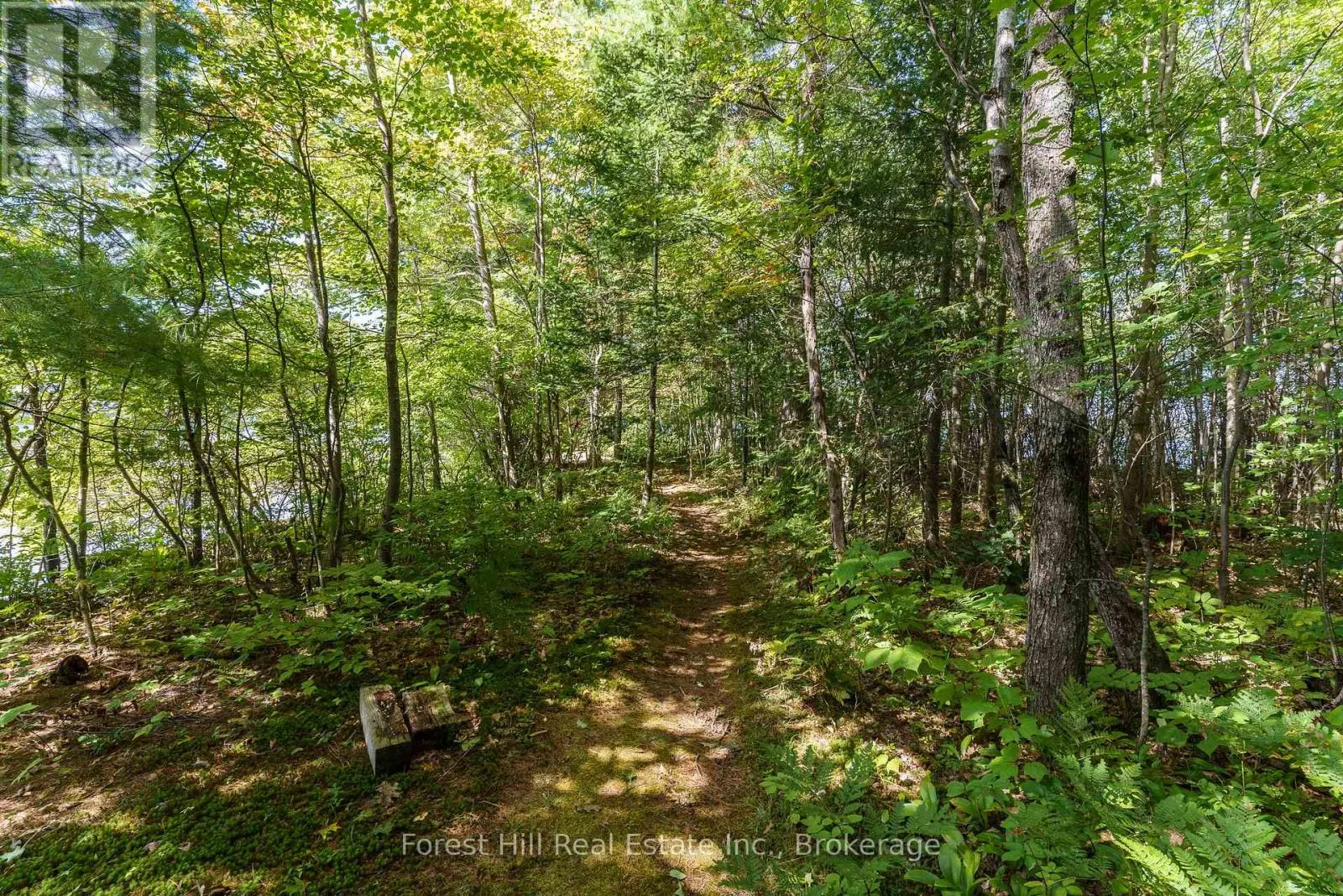 2 - 2991 MUSKOKA RD 117 ROAD #2