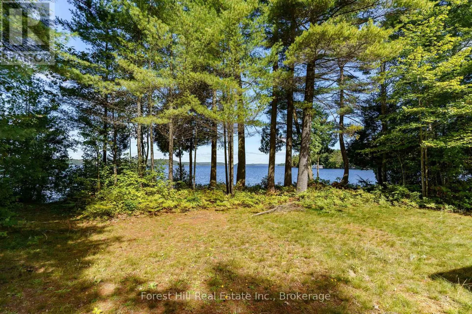 2 - 2991 MUSKOKA RD 117 ROAD #2