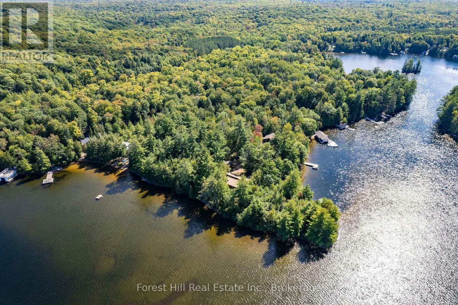 2 - 2991 MUSKOKA RD 117 ROAD #2