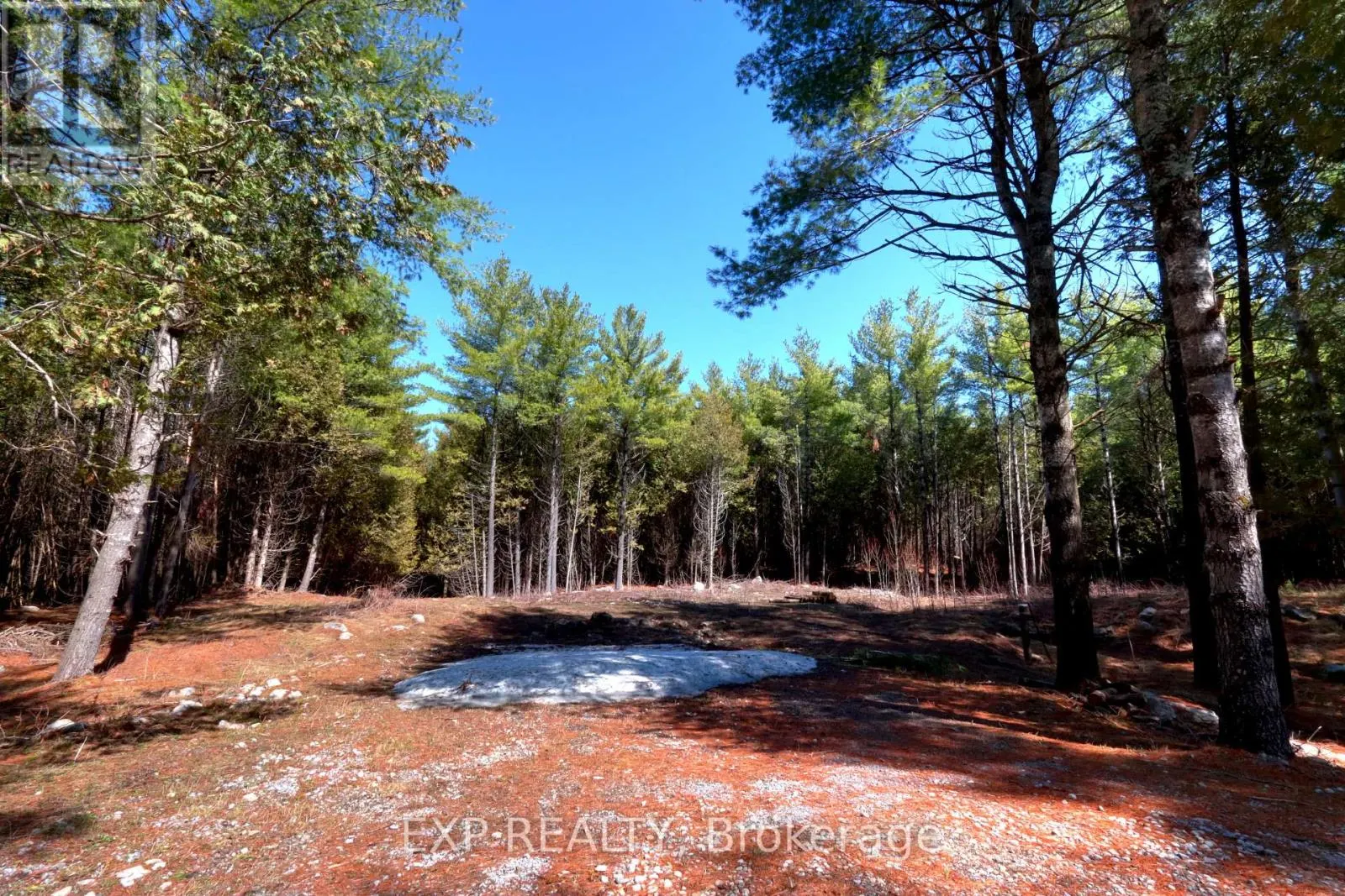 593 COUNTY 40 ROAD