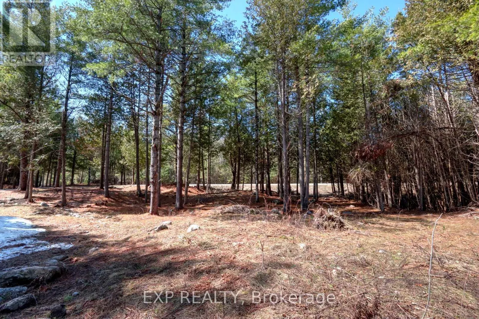 593 COUNTY 40 ROAD