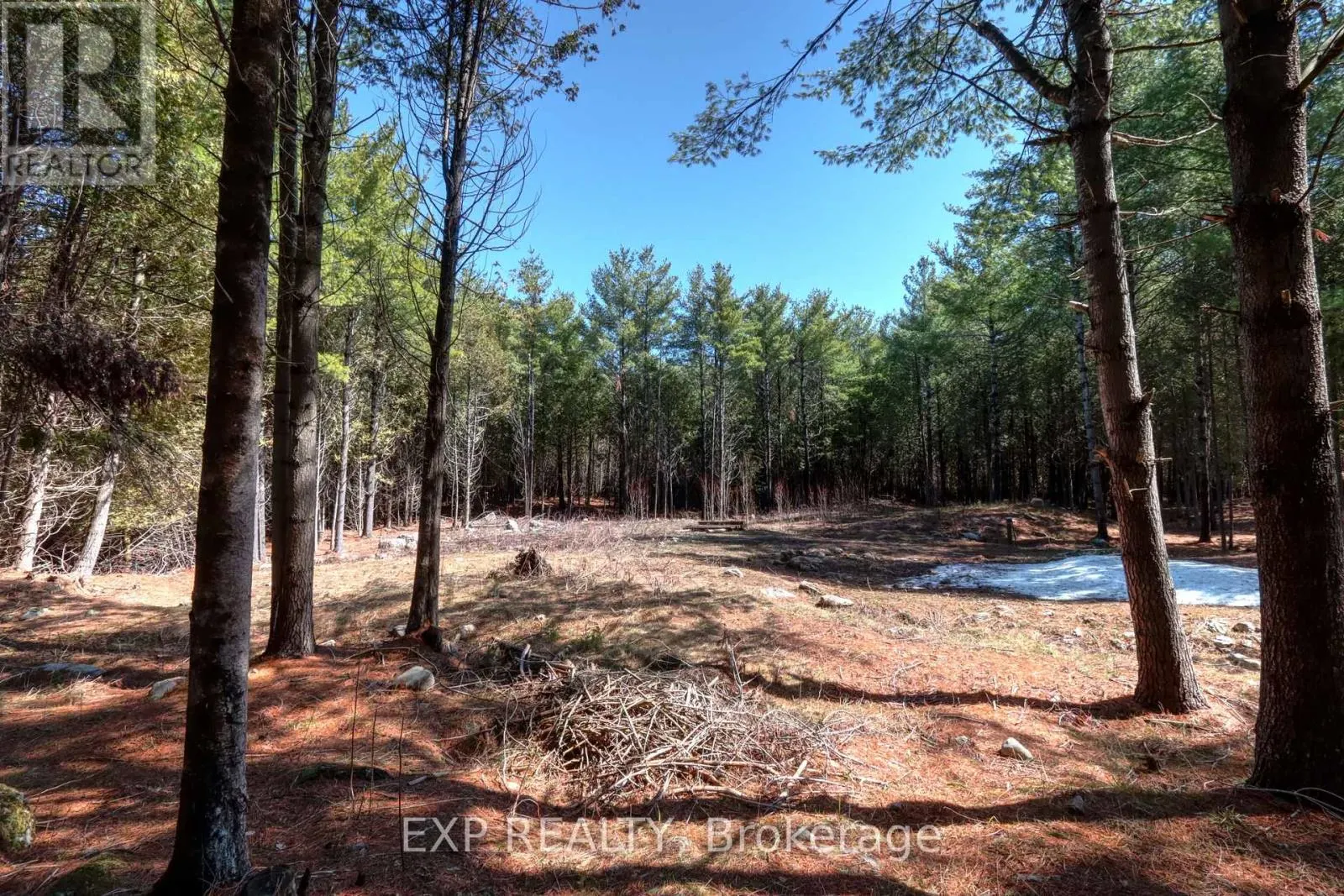 593 COUNTY 40 ROAD