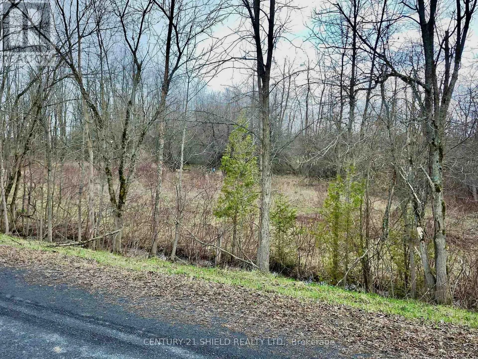 15448 NORTH LUNENBURG ROAD