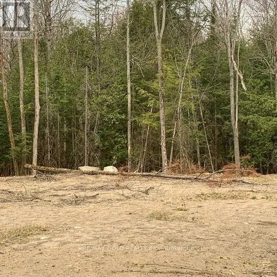 5 MOUNTAIN BASIN DRIVE