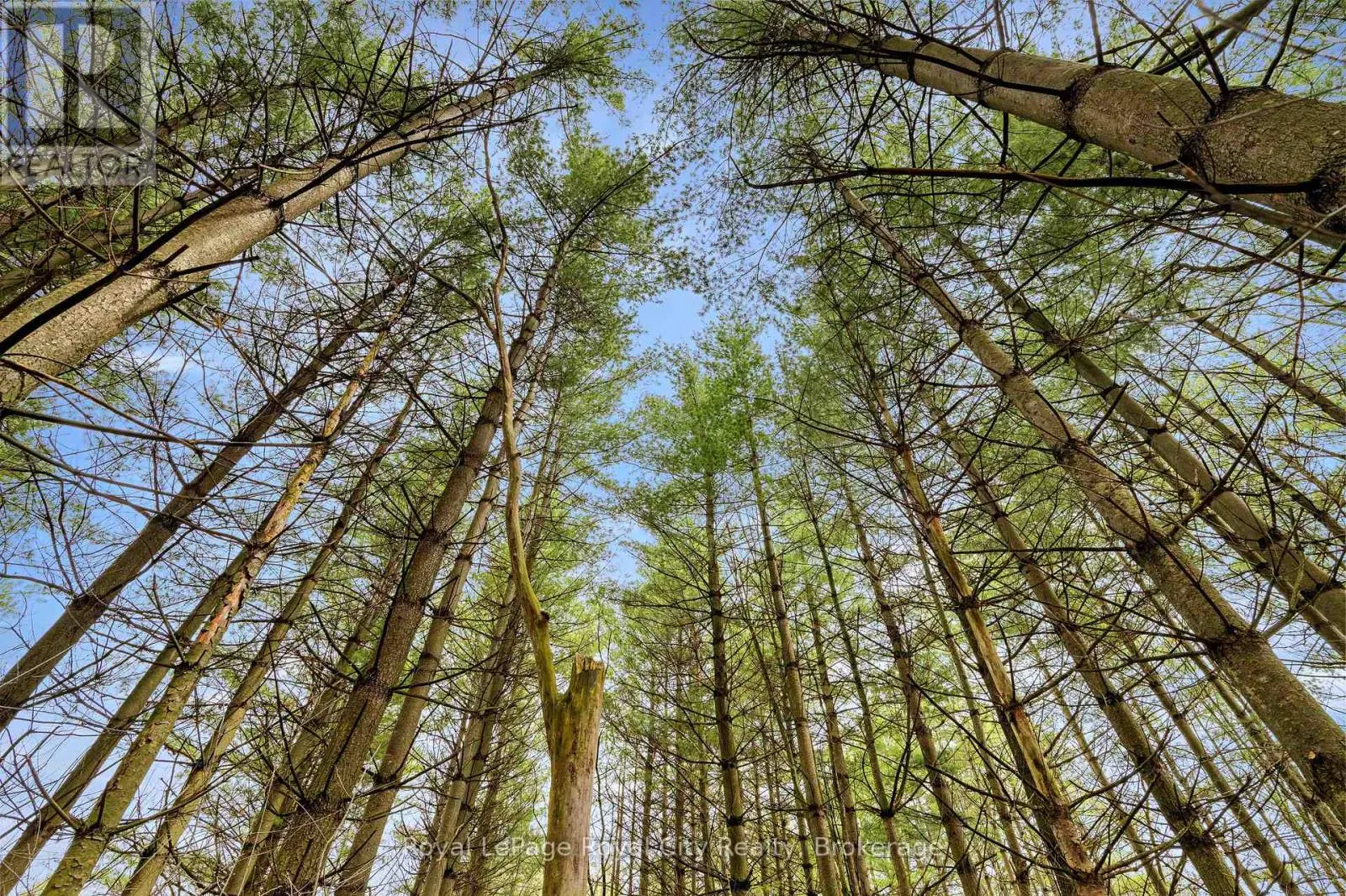 4620 20 SIDE ROAD N
