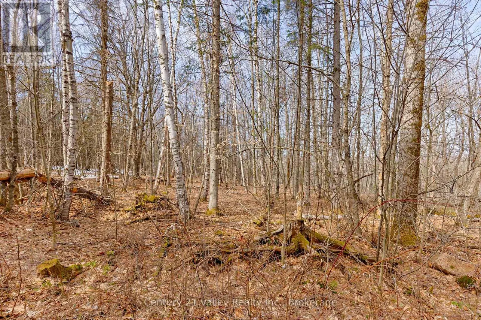 LOT 1 FOYMOUNT ROAD