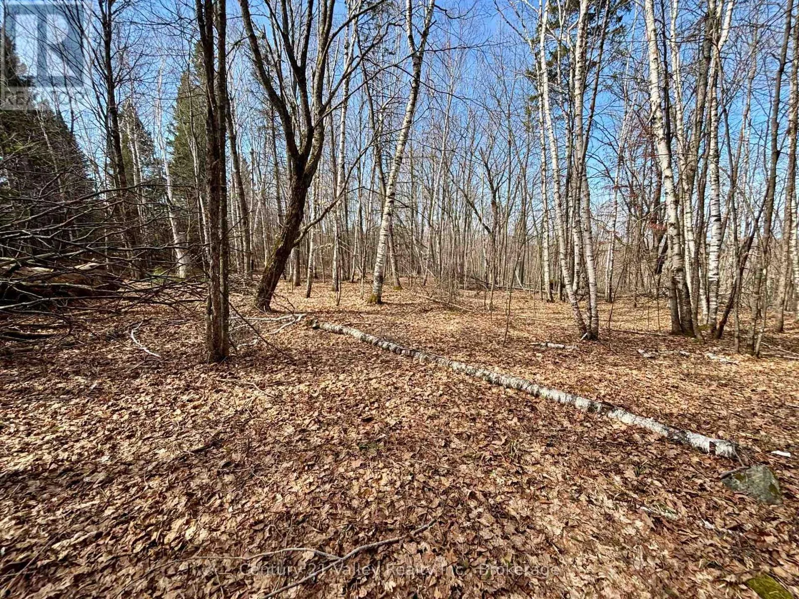 LOT 1 FOYMOUNT ROAD