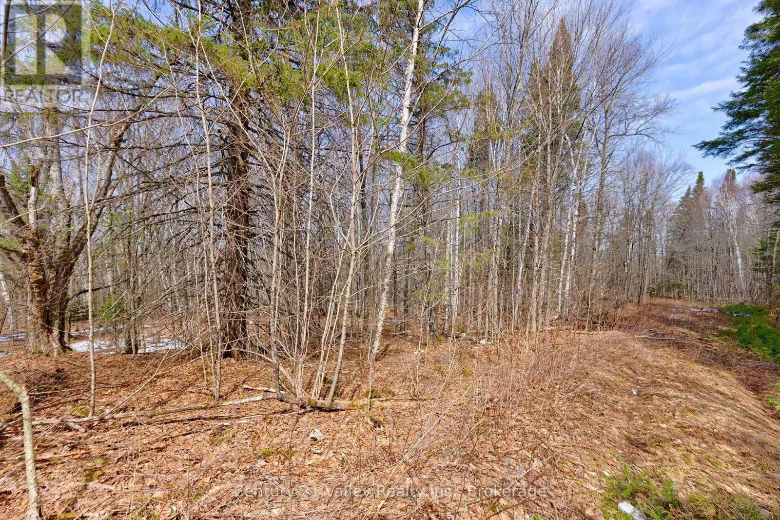 LOT 1 FOYMOUNT ROAD