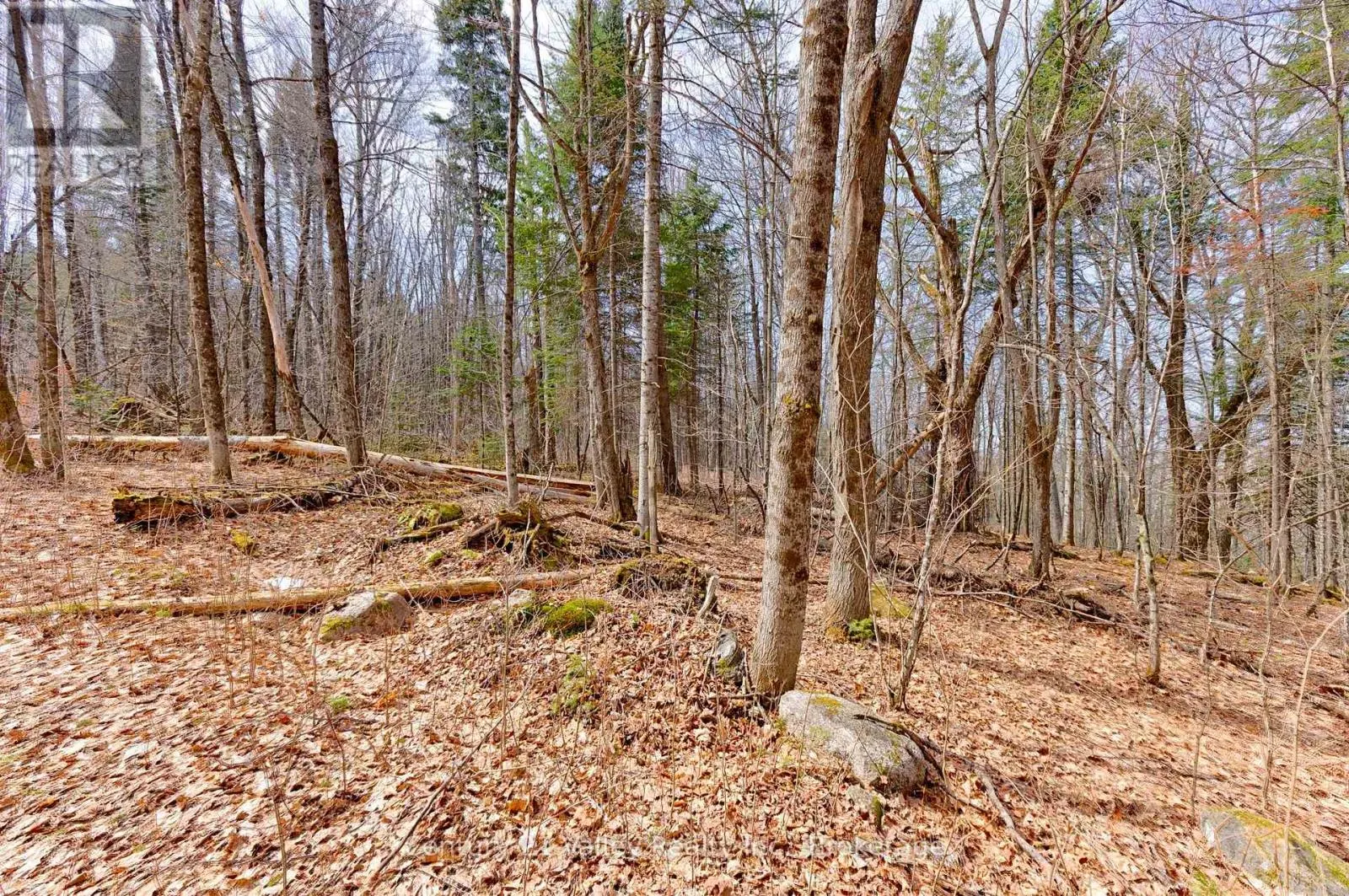 LOT 1 FOYMOUNT ROAD