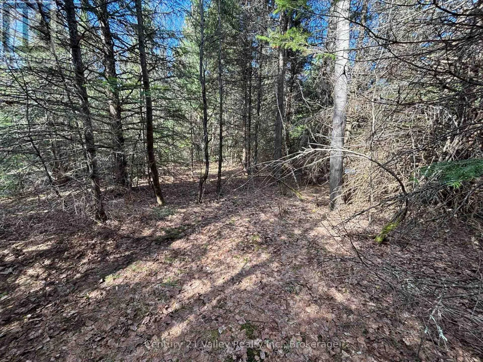 LOT 2 FOYMOUNT ROAD