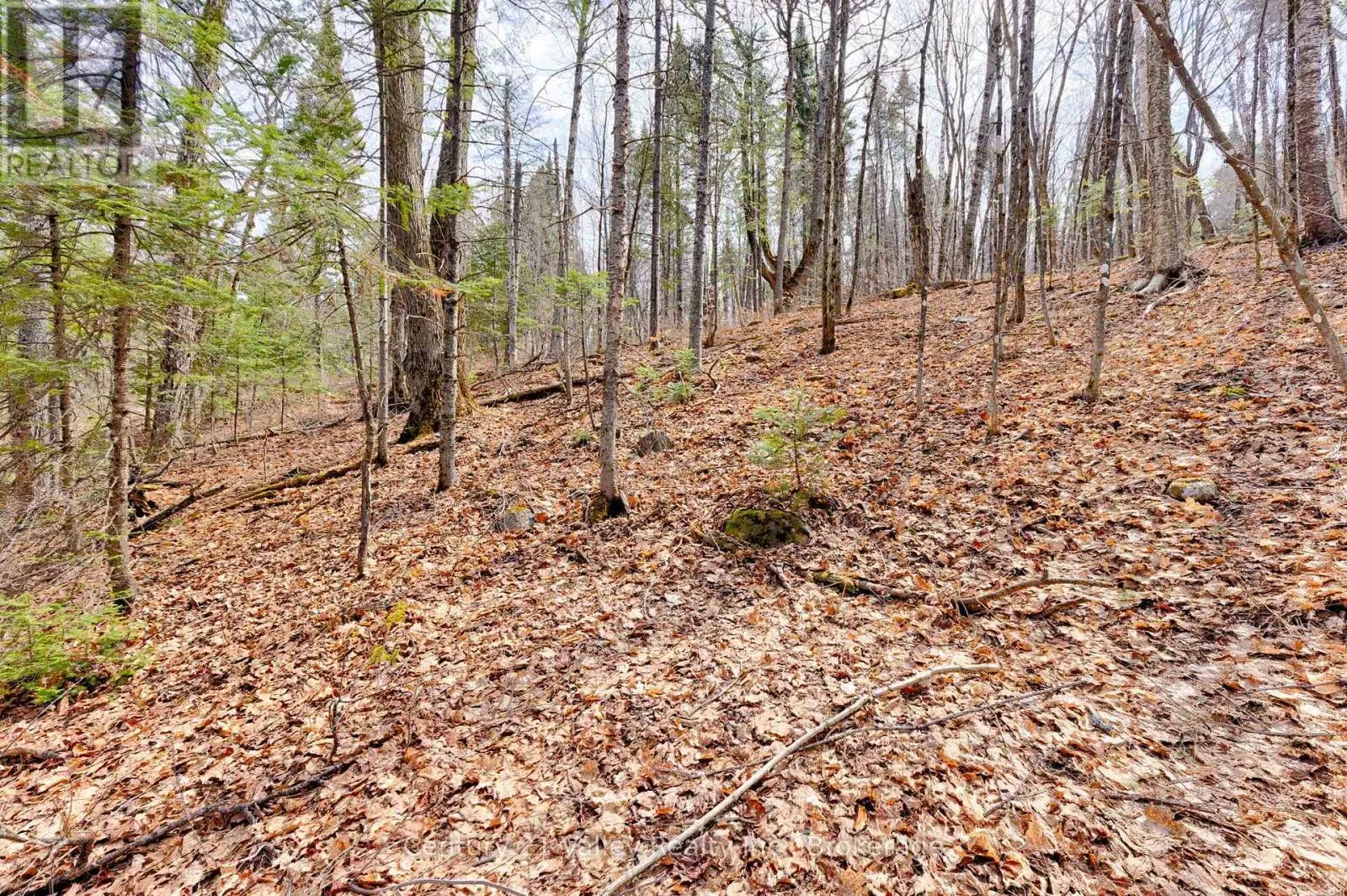 LOT 2 FOYMOUNT ROAD