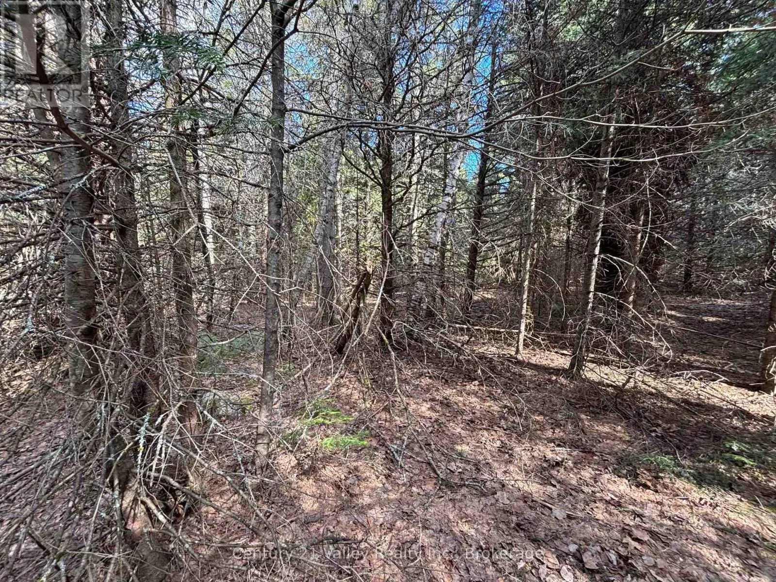 LOT 2 FOYMOUNT ROAD