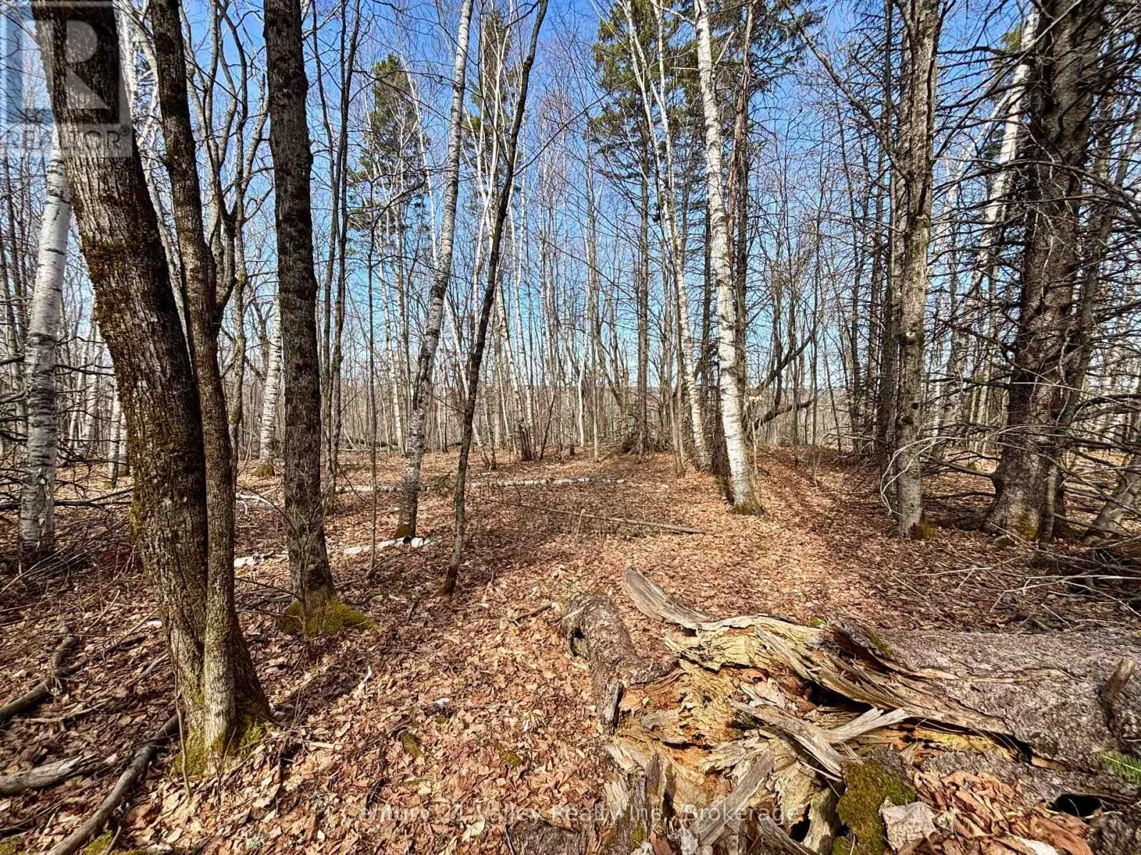 LOT 2 FOYMOUNT ROAD