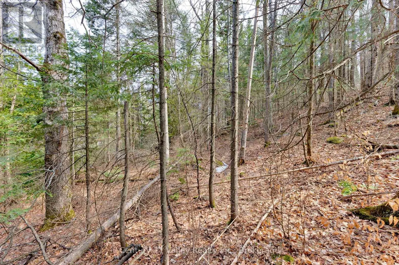 LOT 2 FOYMOUNT ROAD