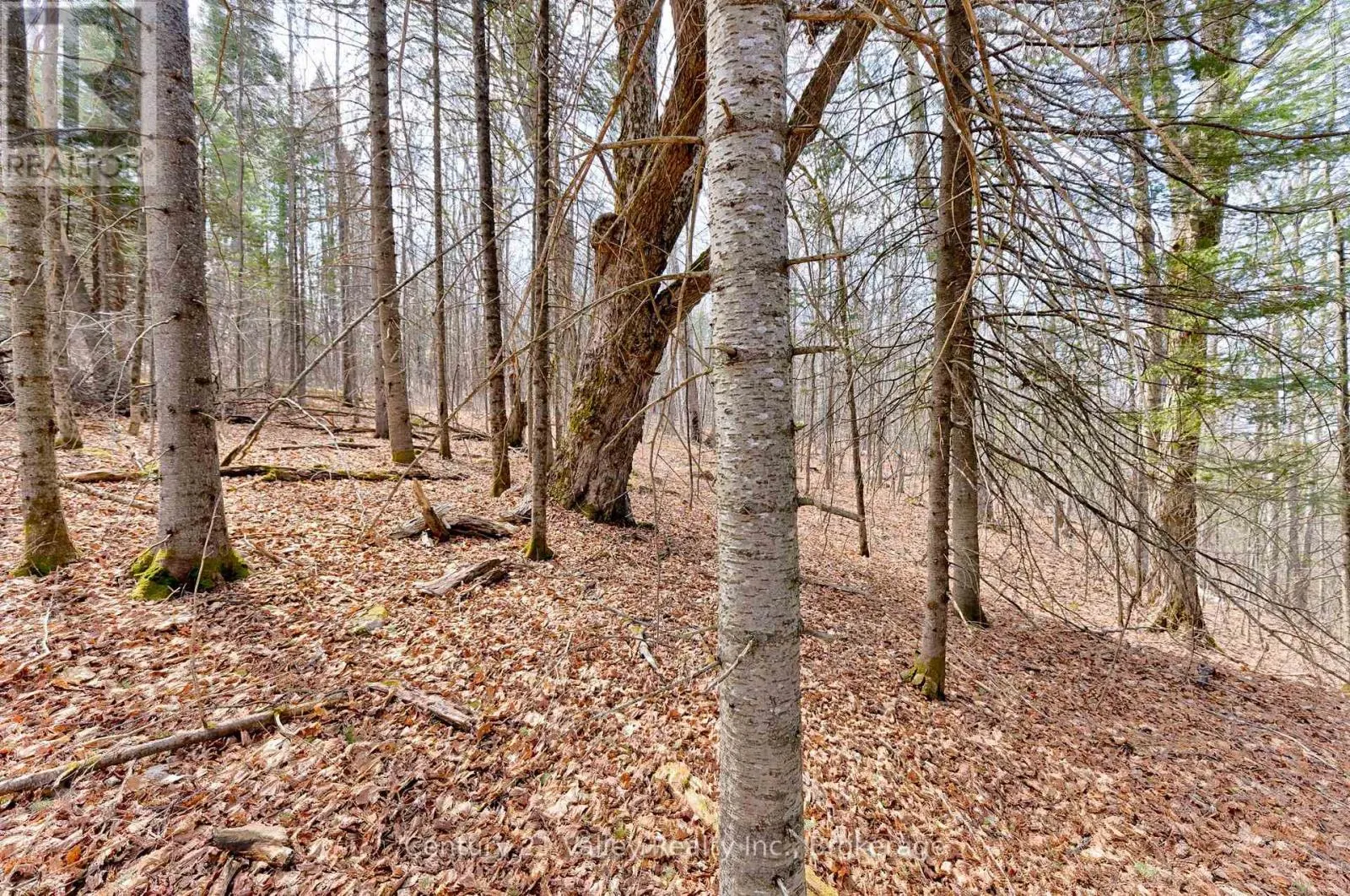 LOT 2 FOYMOUNT ROAD