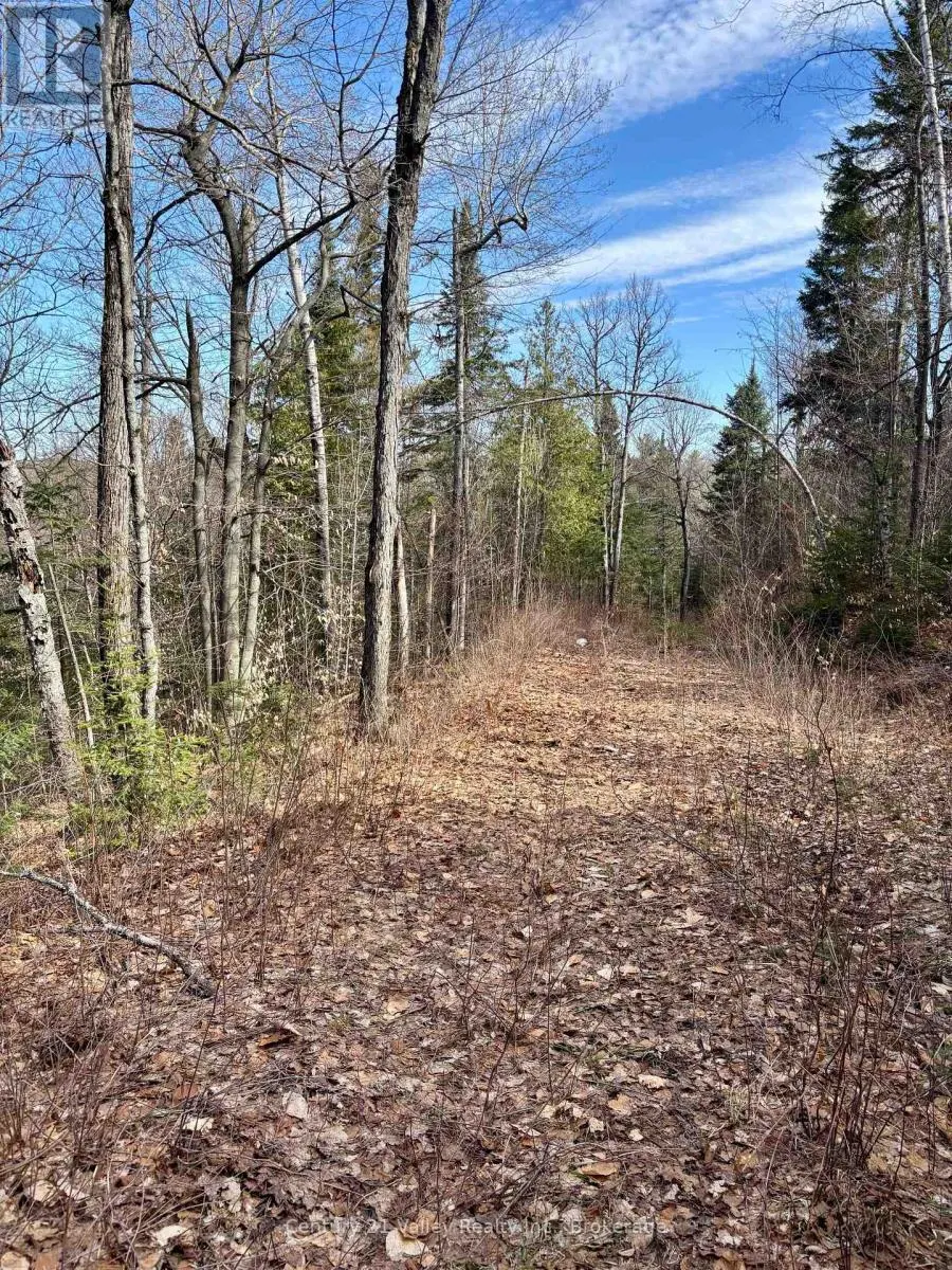 LOT 3 FOYMOUNT ROAD