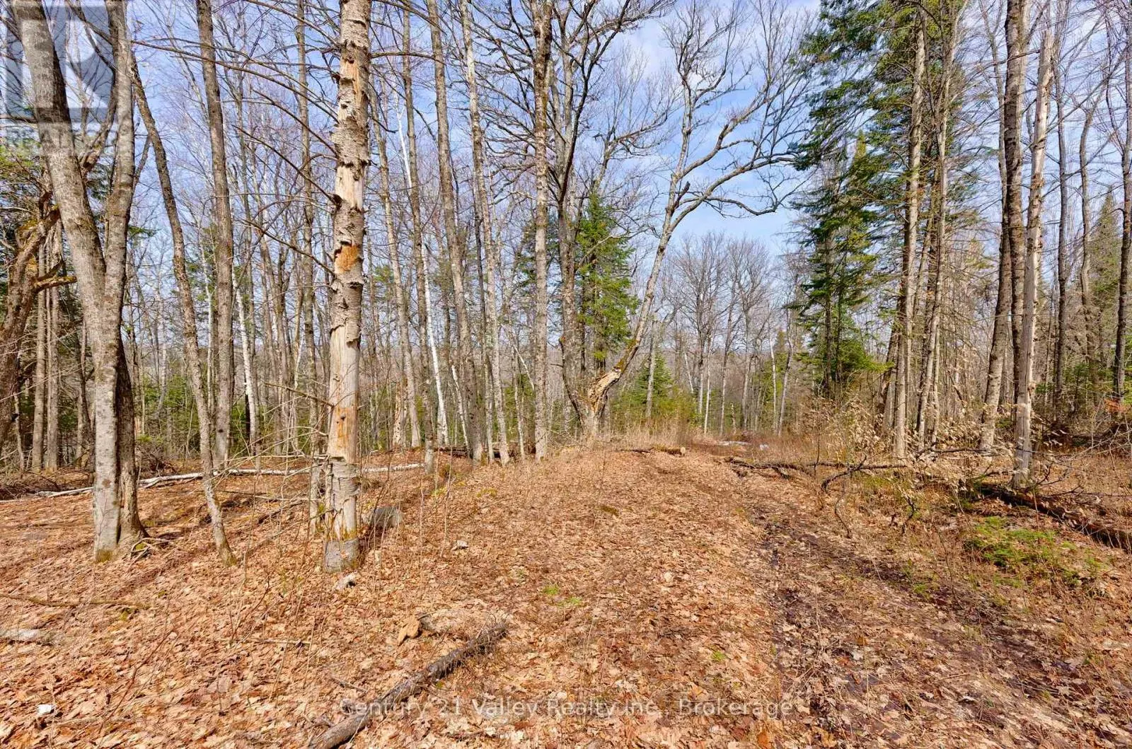 LOT 3 FOYMOUNT ROAD