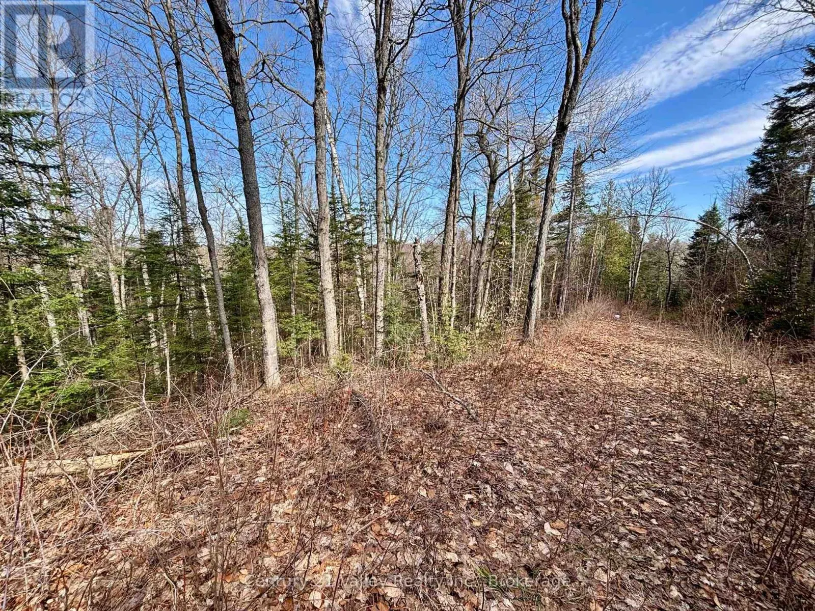 LOT 3 FOYMOUNT ROAD