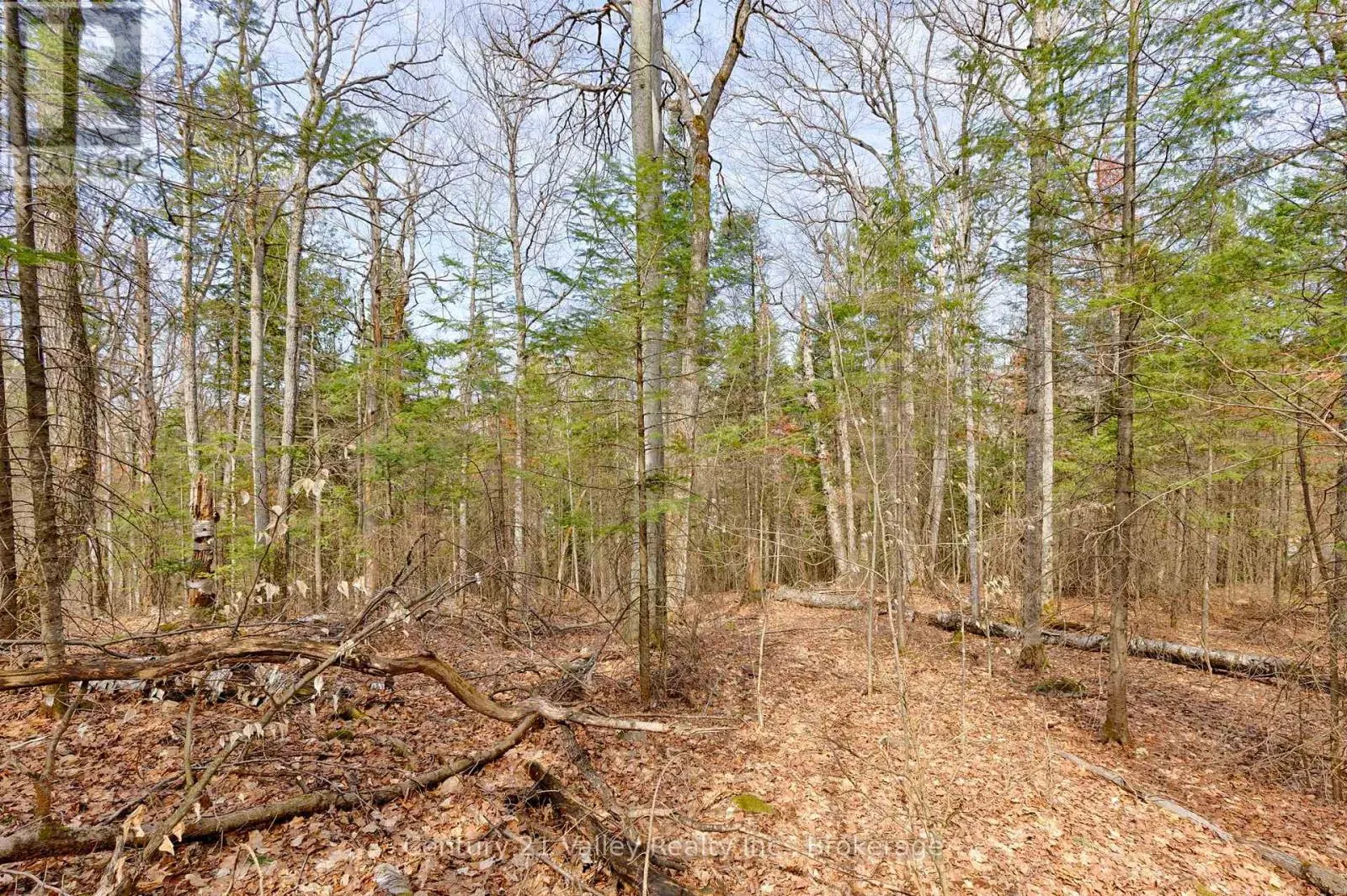 LOT 3 FOYMOUNT ROAD