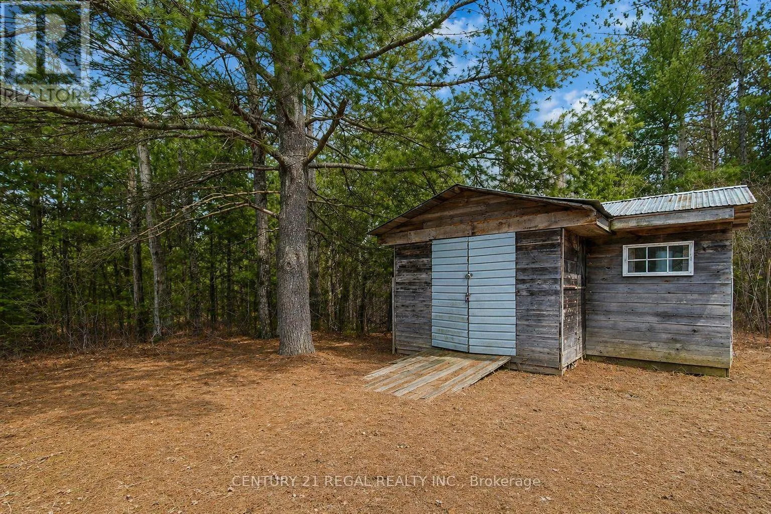 1111 NORTH BAPTISTE LAKE ROAD N