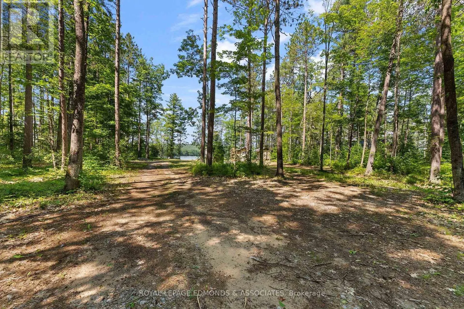 290 HENNESSY TRAIL