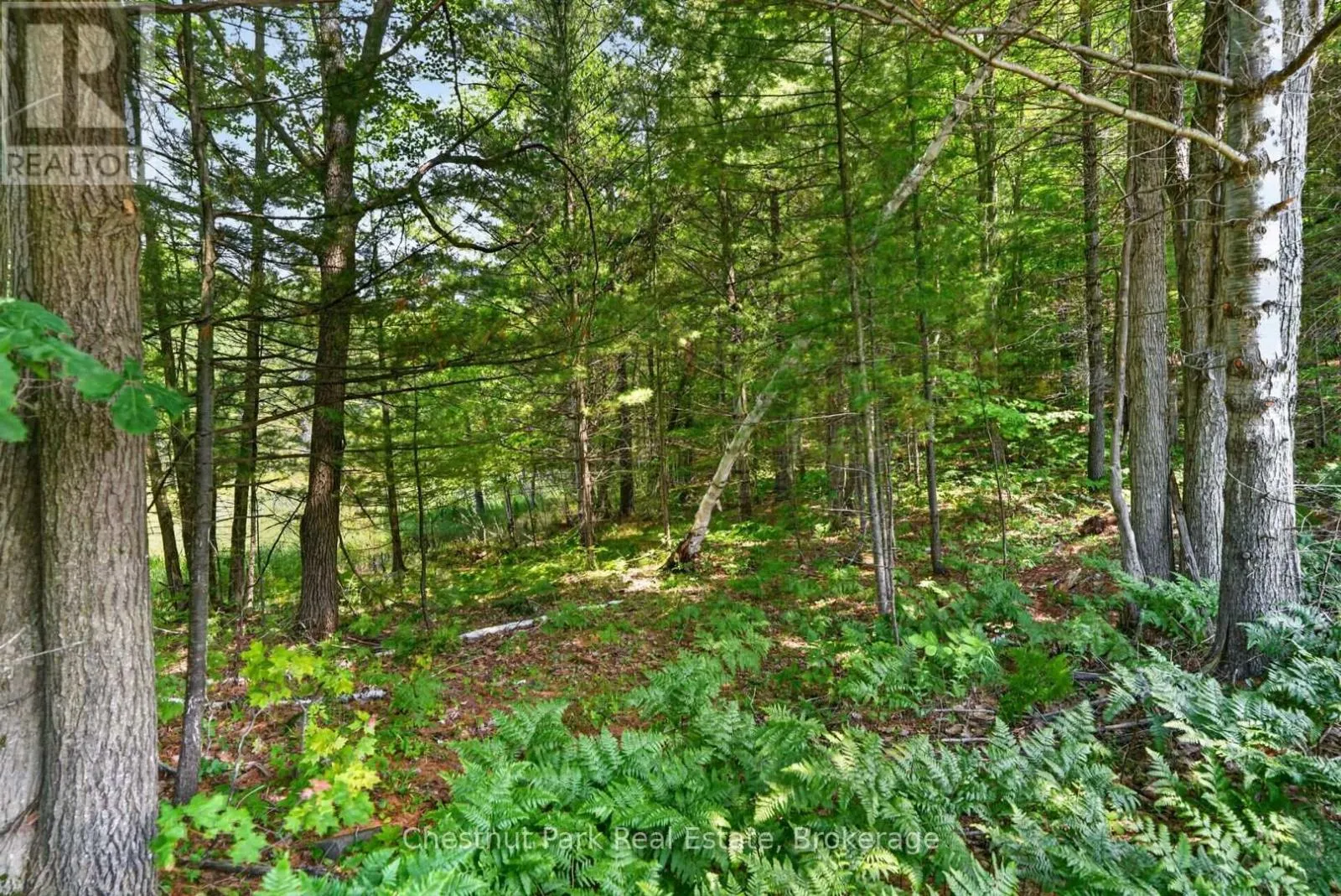 PT LT 33 CON 2 (PT 2) MUSKOKA 118 ROAD W